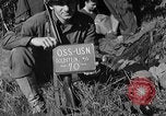 Standbild deutschen Kriegsgefangenen auf einem Feld in Frankreich Frankreich, 1944, aus Sekunde 7 historischem Filmmaterial Videoclip 65675049234