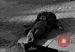 Standbild US-Soldat suche ein Gefangener Cherbourg Frankreich, 1944, aus Sekunde 20 historischem Filmmaterial Videoclip 65675049236