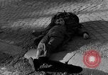 Standbild US-Soldat suche ein Gefangener Cherbourg Frankreich, 1944, aus Sekunde 26 historischem Filmmaterial Videoclip 65675049236