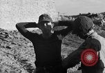 Standbild US-Soldat suche ein Gefangener Cherbourg Frankreich, 1944, aus Sekunde 54 historischem Filmmaterial Videoclip 65675049236