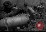 Immagine di Forze sovietiche Kuban Unione Sovietica, 1944, secondo 6 filmato di repertorio 65675049252