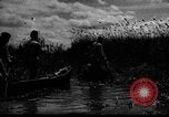 Immagine di Forze sovietiche Kuban Unione Sovietica, 1944, secondo 16 filmato di repertorio 65675049252