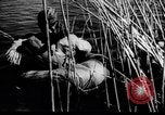 Immagine di Forze sovietiche Kuban Unione Sovietica, 1944, secondo 20 filmato di repertorio 65675049252