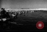 Immagine di Forze sovietiche Kuban Unione Sovietica, 1944, secondo 23 filmato di repertorio 65675049252
