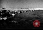 Immagine di Forze sovietiche Kuban Unione Sovietica, 1944, secondo 24 filmato di repertorio 65675049252