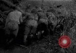 Immagine di Forze sovietiche Kuban Unione Sovietica, 1944, secondo 39 filmato di repertorio 65675049252