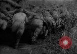 Immagine di Forze sovietiche Kuban Unione Sovietica, 1944, secondo 40 filmato di repertorio 65675049252