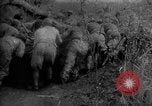 Immagine di Forze sovietiche Kuban Unione Sovietica, 1944, secondo 41 filmato di repertorio 65675049252