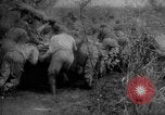 Immagine di Forze sovietiche Kuban Unione Sovietica, 1944, secondo 43 filmato di repertorio 65675049252