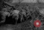Immagine di Forze sovietiche Kuban Unione Sovietica, 1944, secondo 44 filmato di repertorio 65675049252