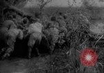 Immagine di Forze sovietiche Kuban Unione Sovietica, 1944, secondo 45 filmato di repertorio 65675049252
