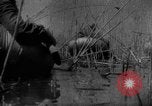 Immagine di Forze sovietiche Kuban Unione Sovietica, 1944, secondo 46 filmato di repertorio 65675049252