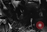 Standbild General Douglas MacArthur New Guinea, 1944, aus Sekunde 29 historischem Filmmaterial Videoclip 65675049255