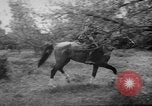 Standbild sowjetischen Soldaten Russland, 1942, aus Sekunde 28 historischem Filmmaterial Videoclip 65675049257