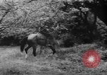 Standbild sowjetischen Soldaten Russland, 1942, aus Sekunde 30 historischem Filmmaterial Videoclip 65675049257