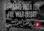 Image of elephants Burma, 1944, second 3 stock footage video 65675049258