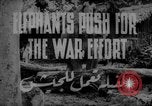 Image of elephants Burma, 1944, second 5 stock footage video 65675049258