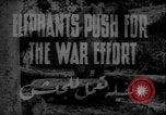 Image of elephants Burma, 1944, second 6 stock footage video 65675049258