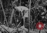 Image of elephants Burma, 1944, second 7 stock footage video 65675049258