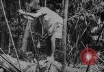 Image of elephants Burma, 1944, second 8 stock footage video 65675049258