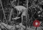Image of elephants Burma, 1944, second 9 stock footage video 65675049258