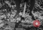 Image of elephants Burma, 1944, second 10 stock footage video 65675049258