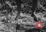Image of elephants Burma, 1944, second 11 stock footage video 65675049258