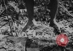 Image of elephants Burma, 1944, second 12 stock footage video 65675049258