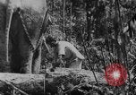 Image of elephants Burma, 1944, second 13 stock footage video 65675049258