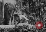 Image of elephants Burma, 1944, second 14 stock footage video 65675049258