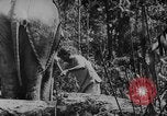 Image of elephants Burma, 1944, second 15 stock footage video 65675049258