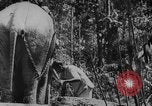 Image of elephants Burma, 1944, second 16 stock footage video 65675049258