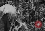 Image of elephants Burma, 1944, second 17 stock footage video 65675049258