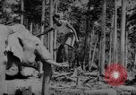 Image of elephants Burma, 1944, second 24 stock footage video 65675049258
