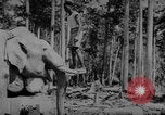 Image of elephants Burma, 1944, second 25 stock footage video 65675049258