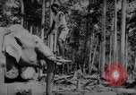 Image of elephants Burma, 1944, second 27 stock footage video 65675049258