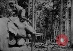 Image of elephants Burma, 1944, second 28 stock footage video 65675049258