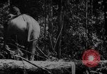 Image of elephants Burma, 1944, second 36 stock footage video 65675049258