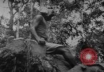Image of elephants Burma, 1944, second 42 stock footage video 65675049258