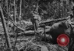 Image of elephants Burma, 1944, second 46 stock footage video 65675049258