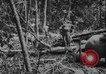 Image of elephants Burma, 1944, second 47 stock footage video 65675049258