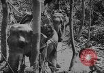 Image of elephants Burma, 1944, second 48 stock footage video 65675049258