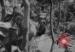 Image of elephants Burma, 1944, second 49 stock footage video 65675049258
