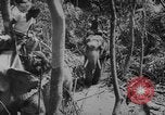 Image of elephants Burma, 1944, second 50 stock footage video 65675049258
