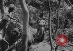 Image of elephants Burma, 1944, second 51 stock footage video 65675049258