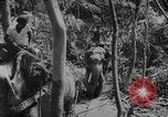 Image of elephants Burma, 1944, second 52 stock footage video 65675049258