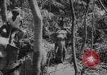 Image of elephants Burma, 1944, second 53 stock footage video 65675049258