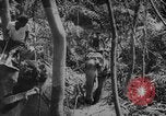 Image of elephants Burma, 1944, second 54 stock footage video 65675049258