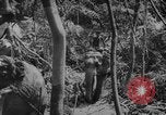 Image of elephants Burma, 1944, second 55 stock footage video 65675049258