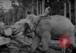 Image of elephants Burma, 1944, second 57 stock footage video 65675049258
